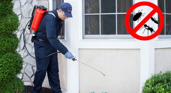 Dikili Dezenfeksiyon böcek ilaçlama ve haşere kontrolü — ilaclama-tr.com